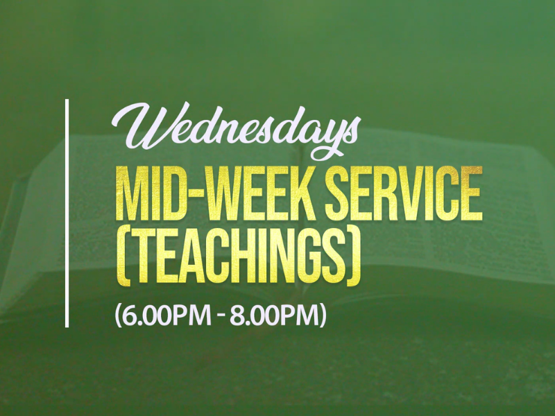 untitled design (14)