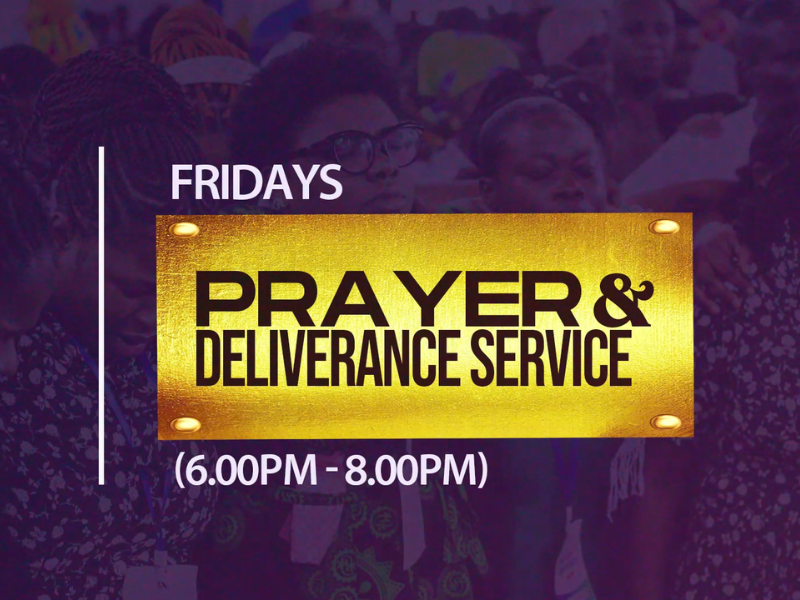 untitled design (15)